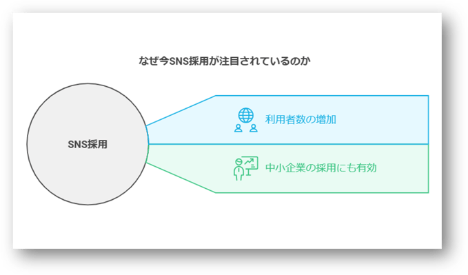 SNS採用とは2-03-202412