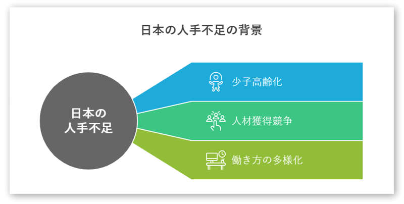 人手不足の原因-01-241227